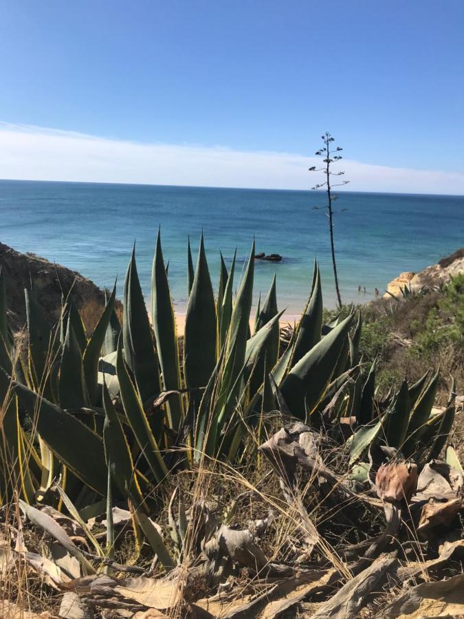 Nid De Reve Appartement Armação de Pêra Buitenkant foto