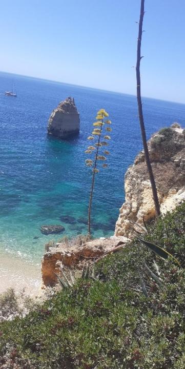 Nid De Reve Appartement Armação de Pêra Buitenkant foto